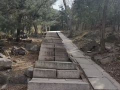 -北京十三陵国家森林公园蟒山景区