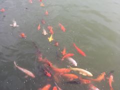 -春晖园度假酒店温泉