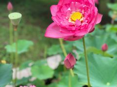 -南戴河国际娱乐中心