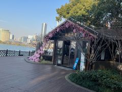 -金鸡湖桃花岛
