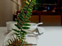 -码头见·潮汕菜(领展中心城店)