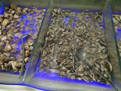 海鲜-银鲨海鲜烤肉火锅自助餐厅(五星店)