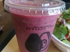 -油梨树AVOCADO TREE(顺义新国展店)
