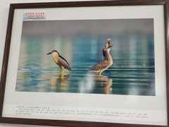 -天津古林古海岸遗迹博物馆