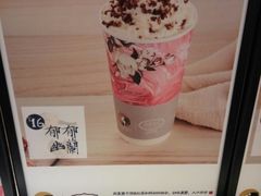 郁郁幽兰-茶理宜世(东方宝泰店)