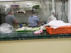 -顶巧鸡汤馄饨(虹口总店)