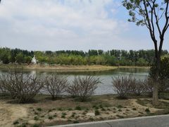-东郊湿地公园