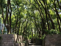 -上海方塔园