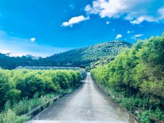 -福清灵石山国家森林公园
