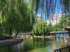 -团结湖公园