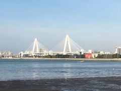 -万绿园