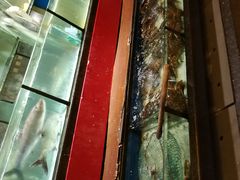 -许家菜(望江店)