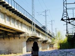 -长白岛森林公园