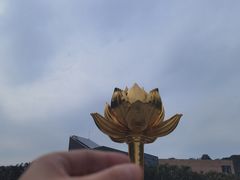 -金莲花广场