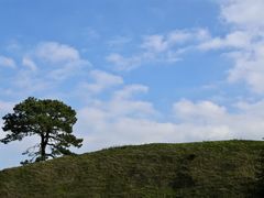 -霍比特人村