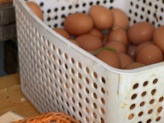 -大华煎饼(交道口北剪子巷店)