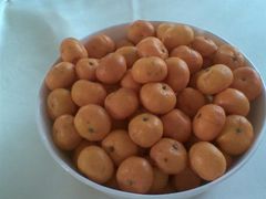 橘子-甲21号招待所