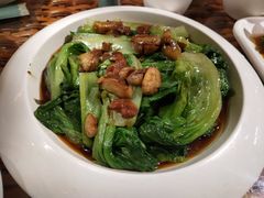 白灼有机生菜-老广酒楼(樱花店)