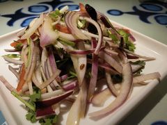 撒拉拌菜-撒拉花儿·新疆菜·清真(太阳宫店)