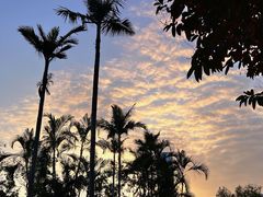 -人民公园(罗湖区)