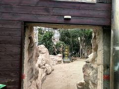 -北京植物园-展览温室