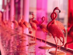 -红星美凯龙(山东全球家居1号店)