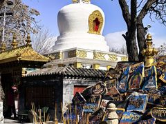-护国法轮寺