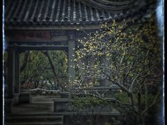 -无锡梅园公园