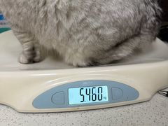 -安安宠医·臻爱宠物医院·宠保定点(营门口路分院)