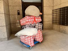 -上海公兴搬家搬场公司