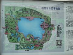 -莲花池公园