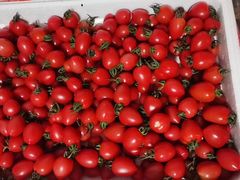 -滨海新区濒开里菜市场