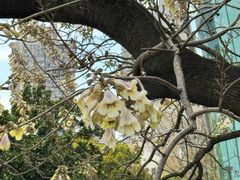 -苏州河梦清园环保主题公园