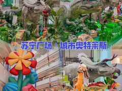 -苏宁广场·城市奥特莱斯(天府立交店)