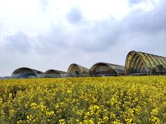 -中国天府农业博览园