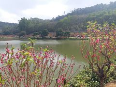 -南国桃园旅游度假区