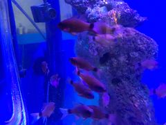 -海合安武汉极地海洋公园