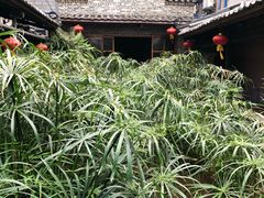 -鹅城