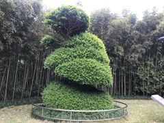 游乐设施-苏州河梦清园环保主题公园