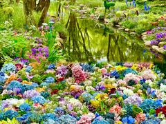 -上海共青森林公园