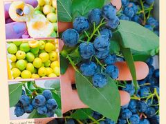 -花果山生鲜超市(浑河湾店)