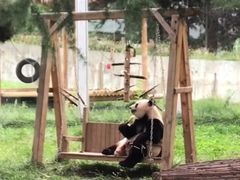 -西安秦岭野生动物园