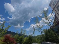 -青峰峡国家森林公园