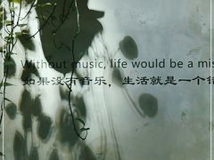 -金尚源SHANG