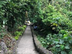 -卢霍山