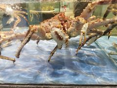 -海天一色海景自助餐厅(西港花园店)