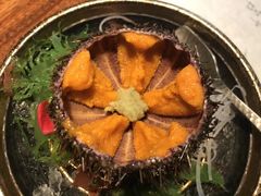-桐寿司Sushi Tong