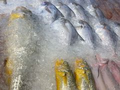 -金时代顺风大酒店(临港百联店)
