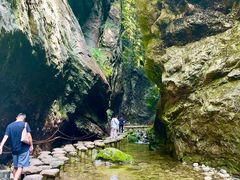 -牛背梁国家森林公园