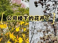 -微软亚太研发集团大厦(微软总部)